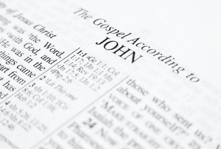 John the Gospel For Every Home
